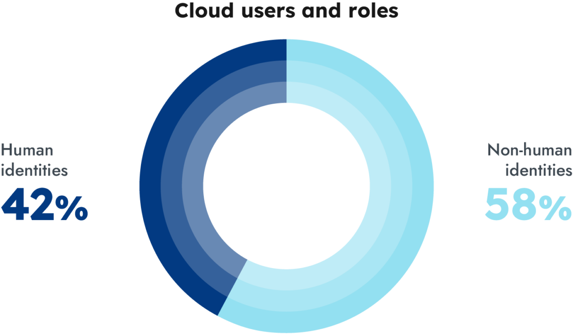 Cloud users and roles